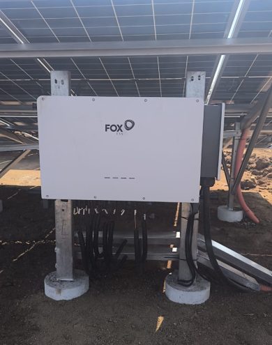 E677539e 4ea2 4e3a A96a E0559b428863 390x495