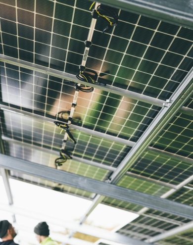 Pexels Photo 14384697 14384697 Scaled 390x495